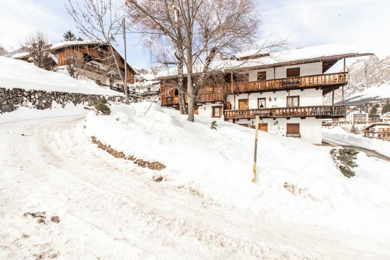 Dolomiti Sweet Lodge كورتينا دامبيتزو المظهر الخارجي الصورة